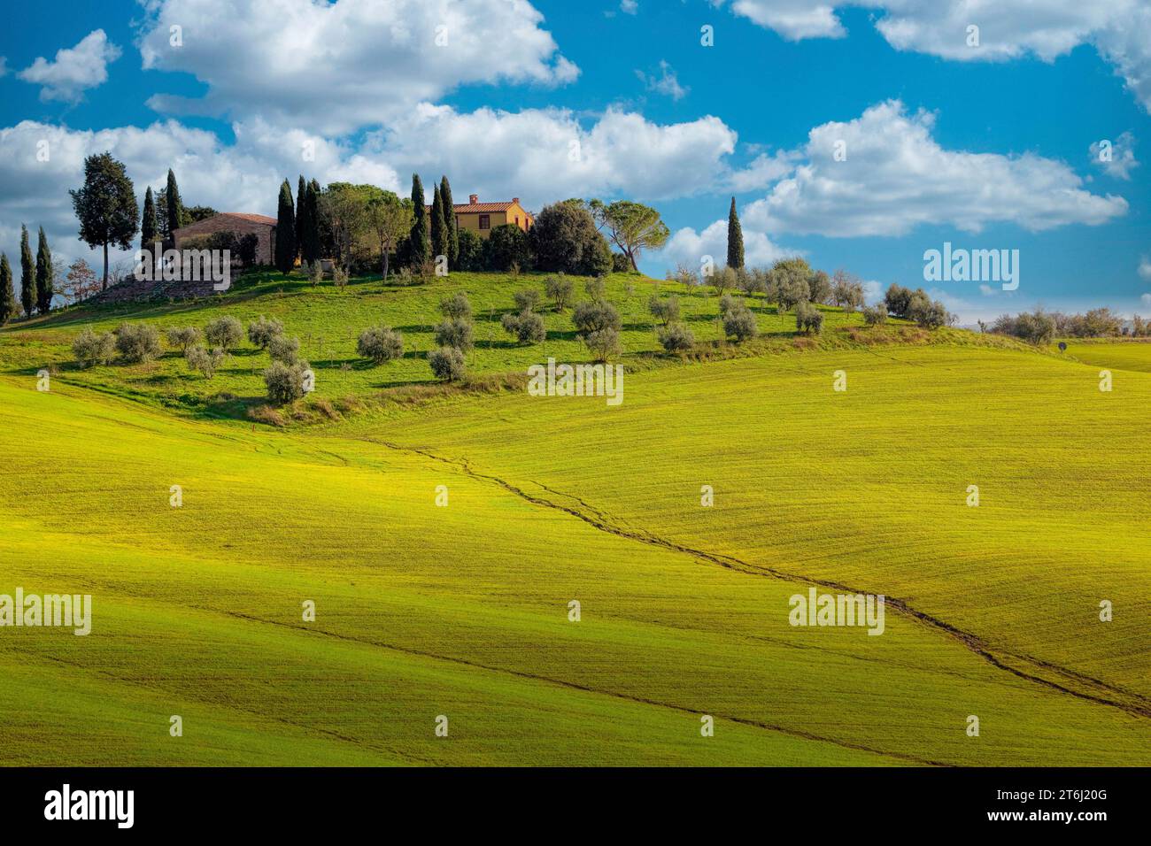 Toskanische Landschaft, La Crete Senesi, Toskana, Italien Stockfoto