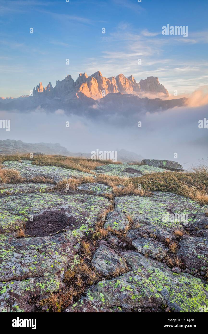 Italien, Veneto, Belluno Viertel, Falcade, Herbstsonnenversatz mit niedrigem Nebel über dem Tal und Blick auf die Nordseite des Pale di San Martino vom Berg Pradazzo, Dolomiten Stockfoto