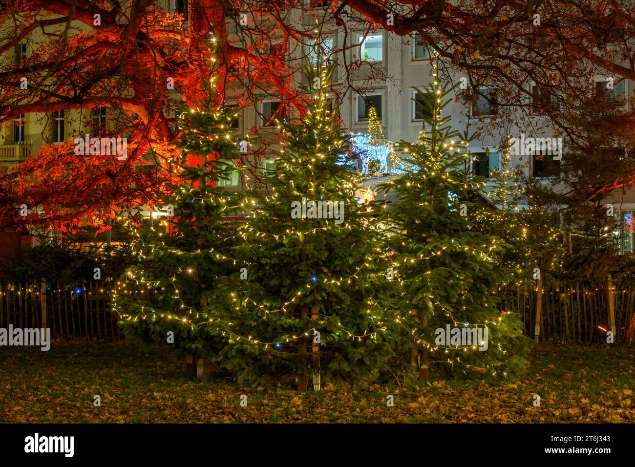 Deutschland, Baden-Württemberg, Karlsruhe, Weihnachtsmarkt. Stockfoto