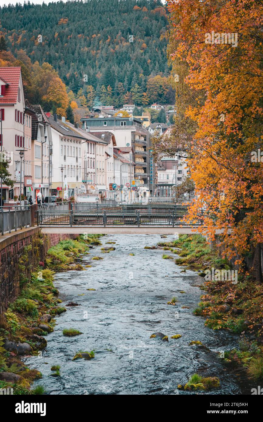 Stadtzentrum mit Flusslauf im Herbst, Bad Wildbad, Schwarzwald, Deutschland Stockfoto