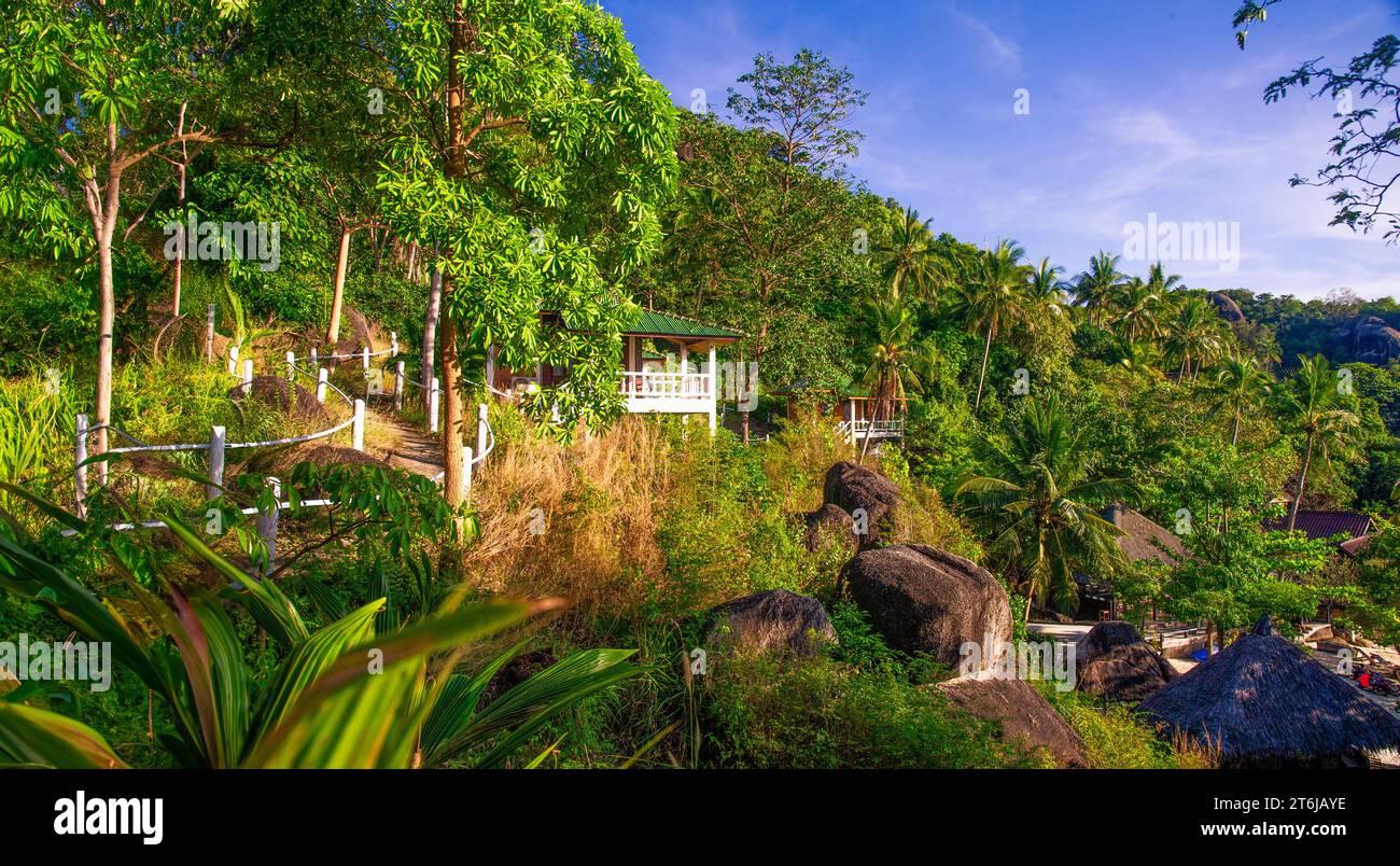 Bungalows fotografiert an der Küste in Ko Tao Thailand versteckt zwischen Palmen und Felsen und in Stufen zum Meer. Stockfoto