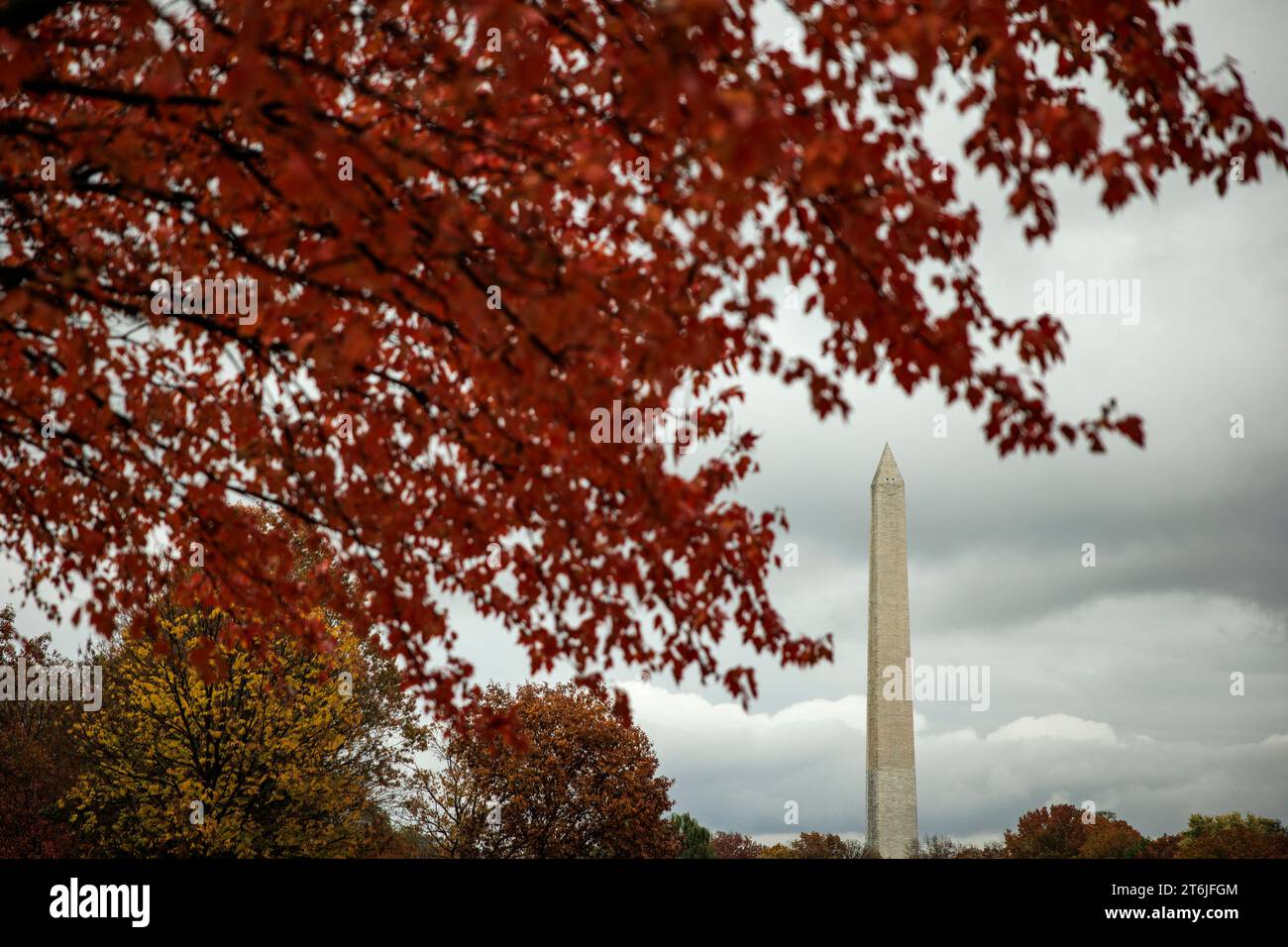 Washington, Usa. November 2023. Das Washington Monument ist am 10. November 2023 in Washington, DC, hinter den Herbstfarben auf den Bäumen um die National Mall zu sehen. Die Amerikaner ehren diejenigen, die in den Streitkräften am Veteranentag gedient haben, der am Freitag, den 10. November stattfindet. Quelle: SIPA USA/Alamy Live News Stockfoto