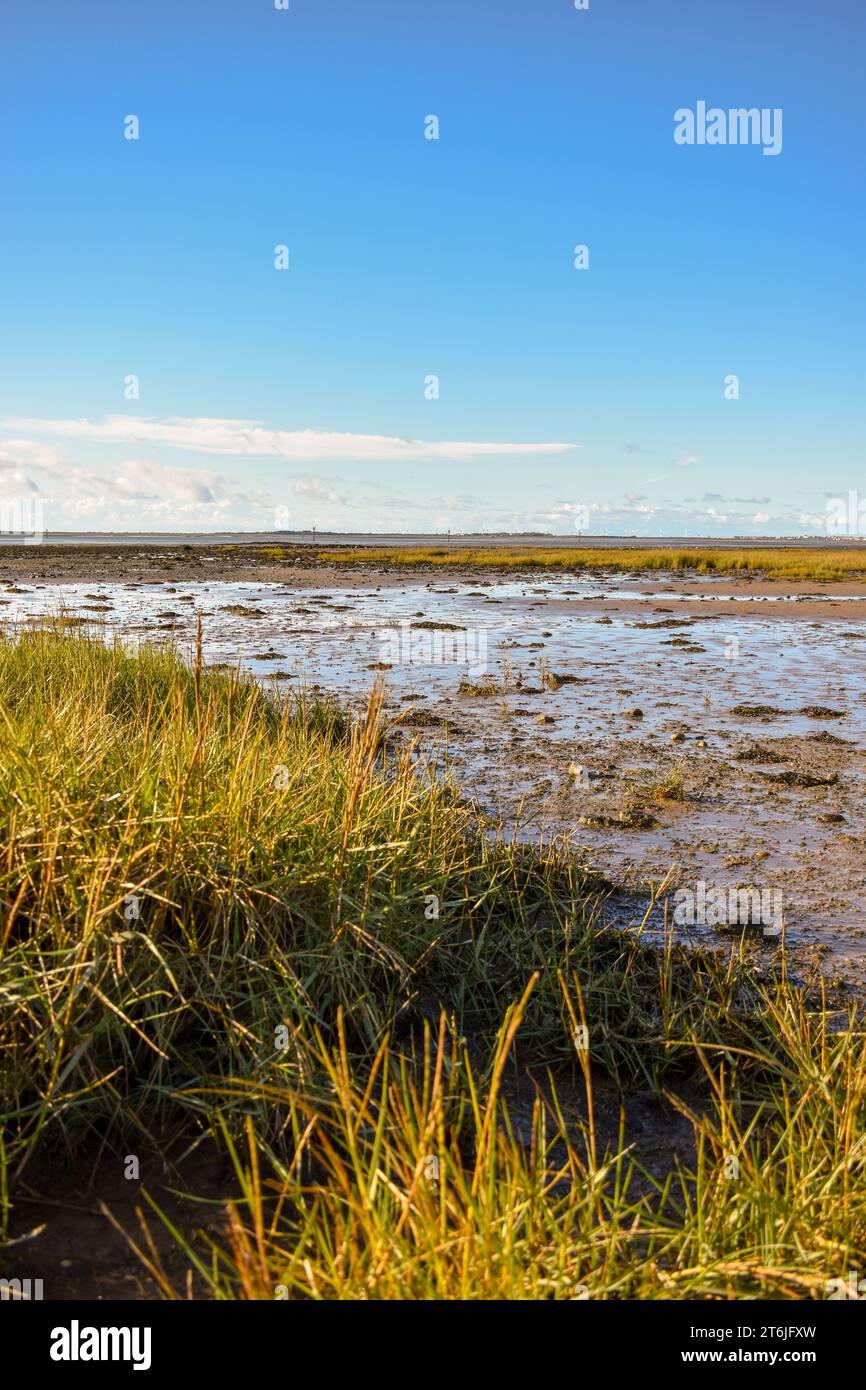 Marschland an der Küste von Barrow in Furness bei Ebbe an einem klaren Tag. Stockfoto