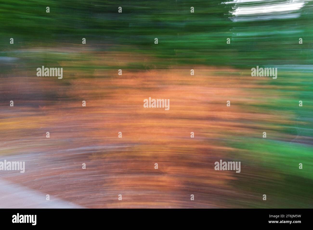 Abstrakter unscharfer Hintergrund mit Herbstfarben, grün und orange Stockfoto