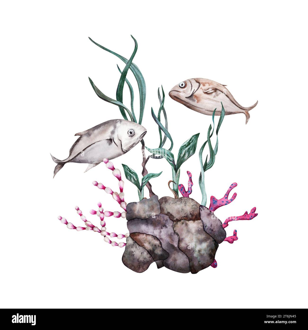 Zwei tropische Fische schwimmen über Rifffelsen, rote Korallen, Pflanzen und grüne Algen. Handgezeichnete Aquarellillustration isoliert auf weißem Hintergrund. Stockfoto