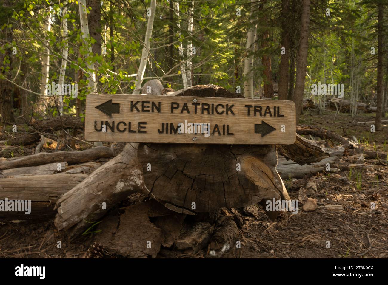 Ken Patrick und Uncle Jim Trail Junction im Grand Canyon National Park Stockfoto