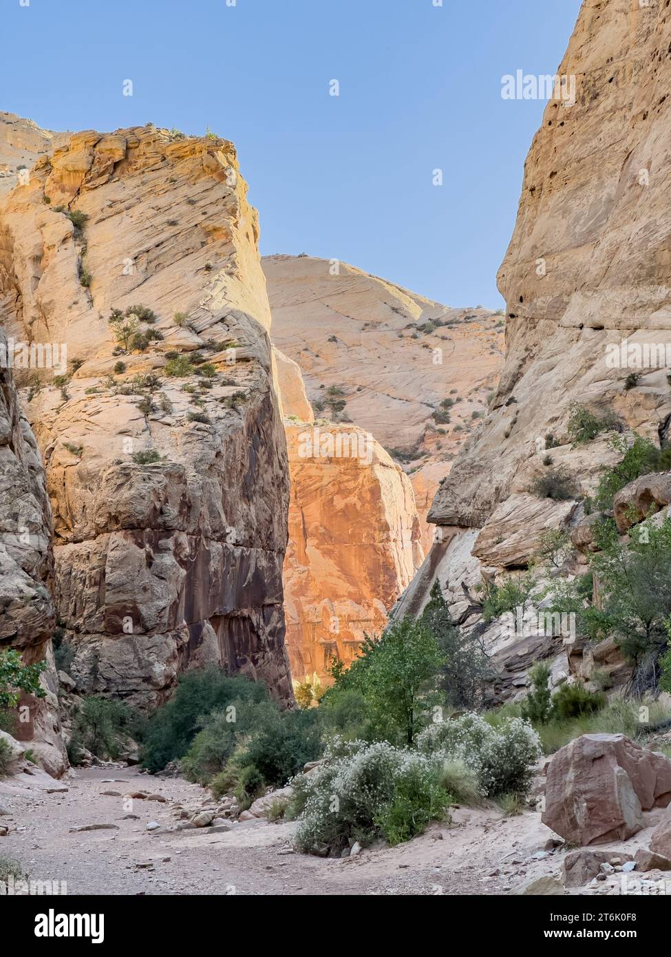 Die späte Sonne trifft Felsschichten in der Capitol Gorge Stockfoto