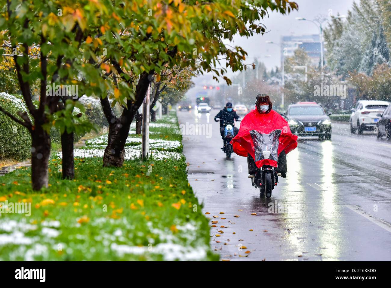 QINGZHOU, CHINA - 11. NOVEMBER 2023 - Menschen reisen im Schnee in Qingzhou, ostchinesischer Provinz Shandong, 11. November 2023. (Foto: Costfoto/NurPhoto) Stockfoto