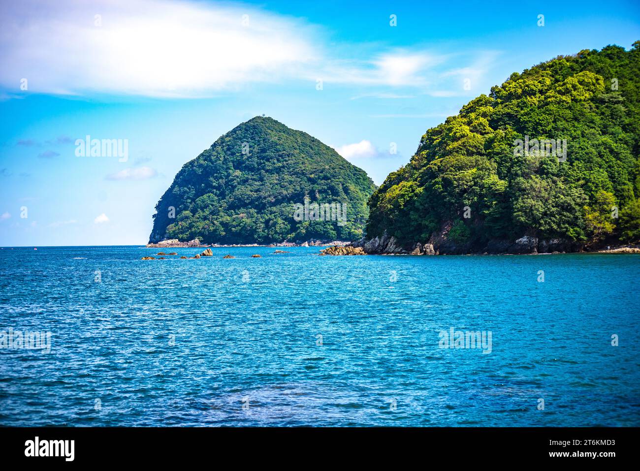 Eine geheimnisvolle Insel, die in der gemäßigten Zone liegt, aber subtropisch aussieht Stockfoto