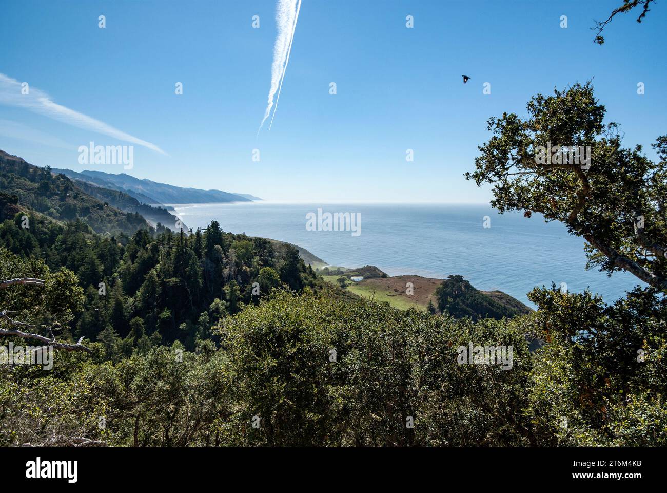 Mit Blick auf Pazifischen Ozean und Los Padres National Forest von Veranda Nepenthe Restaurant, Big Sur, Kalifornien Stockfoto