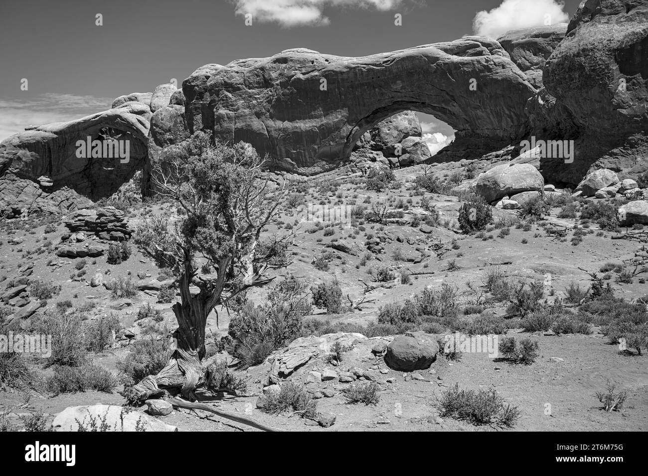 Die USA auf der Straße: Der Südwesten Stockfoto