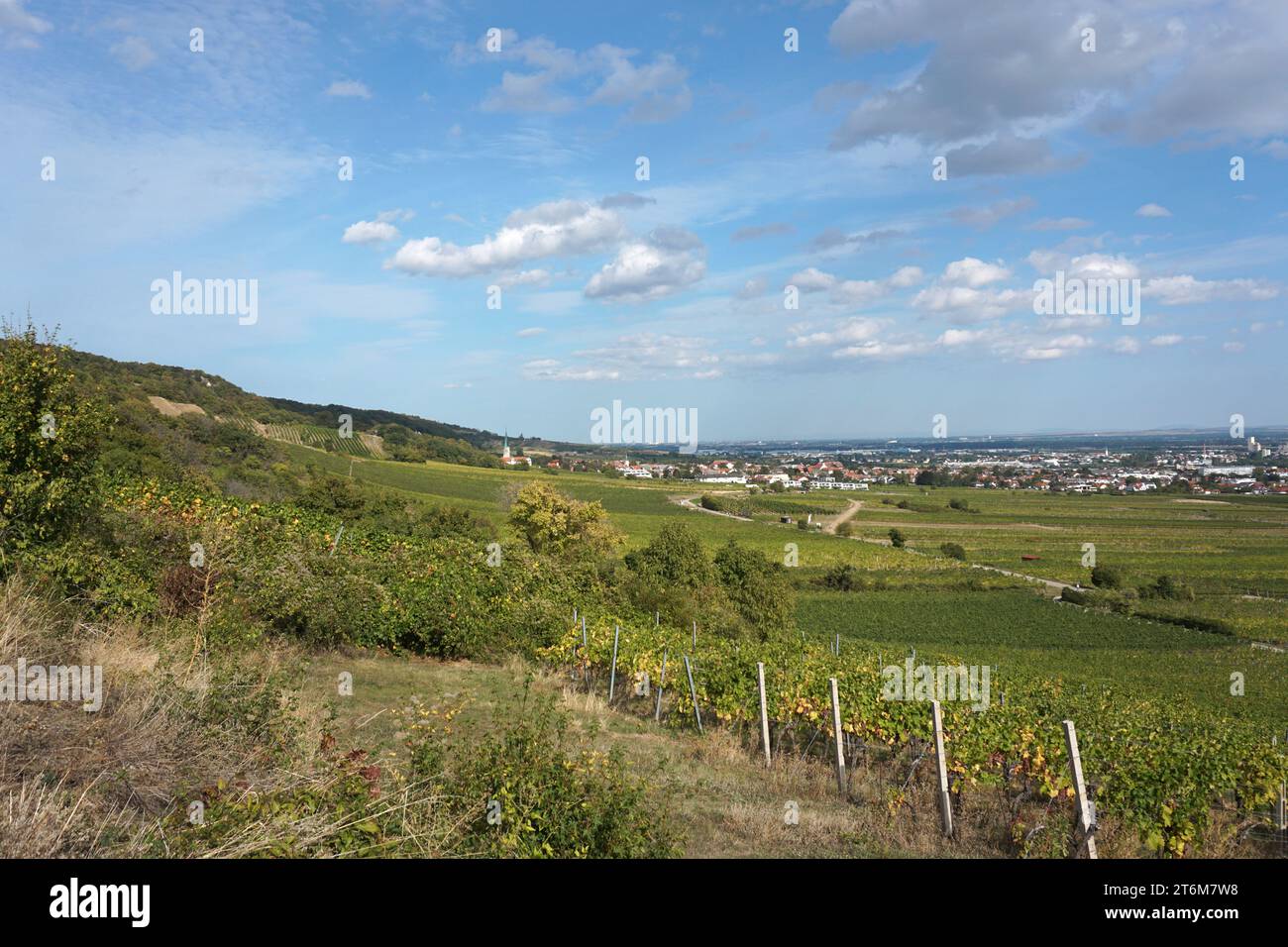 Blick von den Weinbergen nach Gumpoldskirchen Stockfoto
