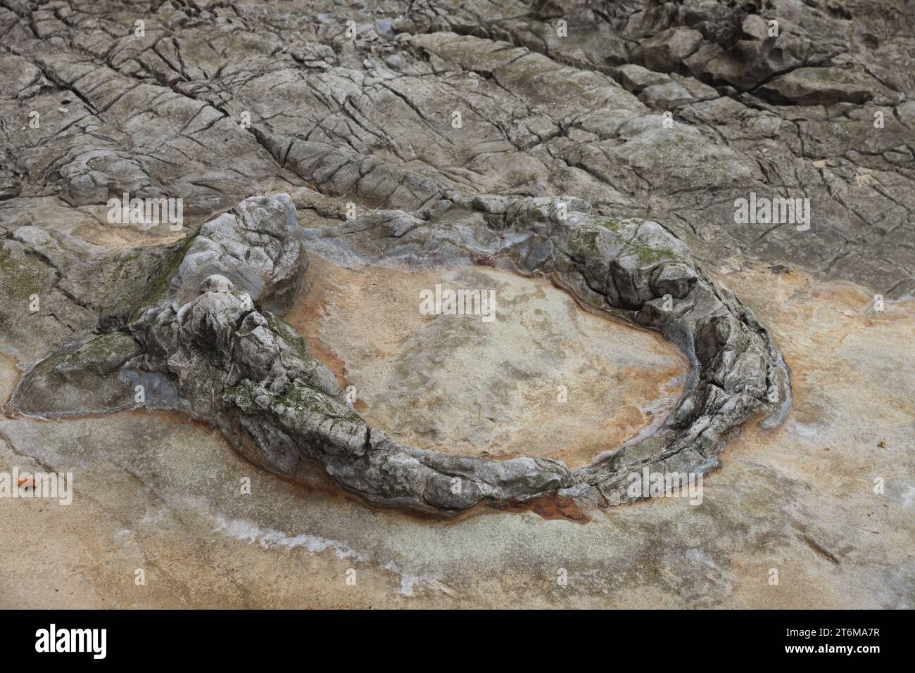 Botanical Beach Provincial Park Vancouver Island Kanada Stockfoto