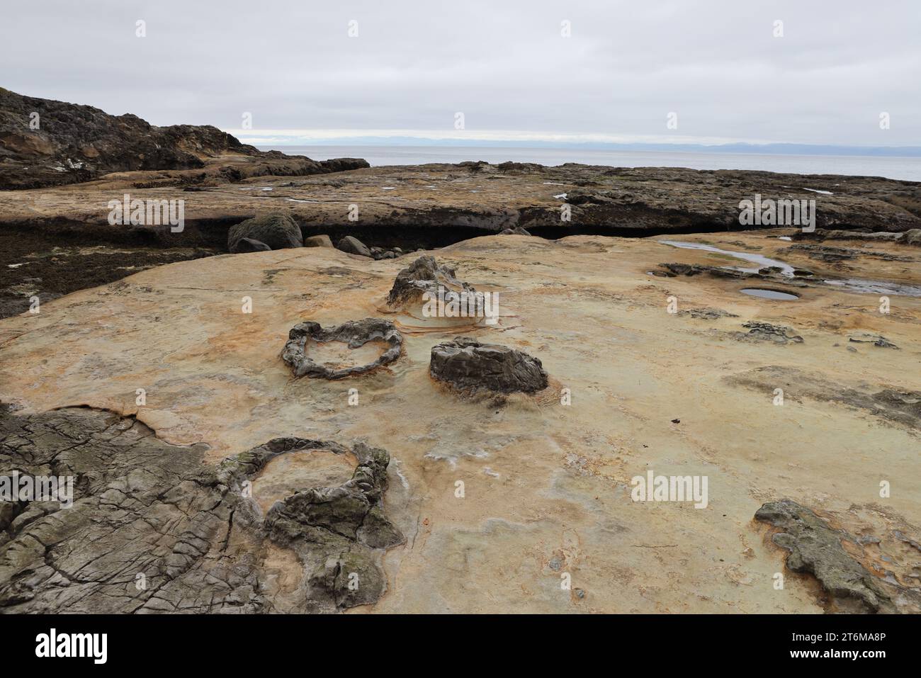 Botanical Beach Provincial Park Vancouver Island Kanada Stockfoto