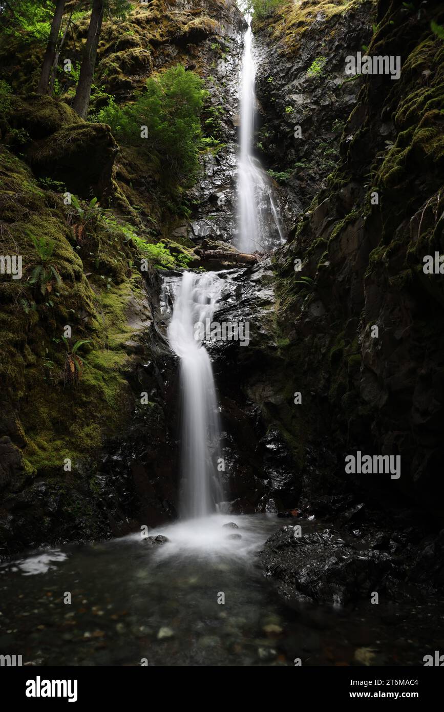 Lupin Falls Vancouver Island Kanada Stockfoto