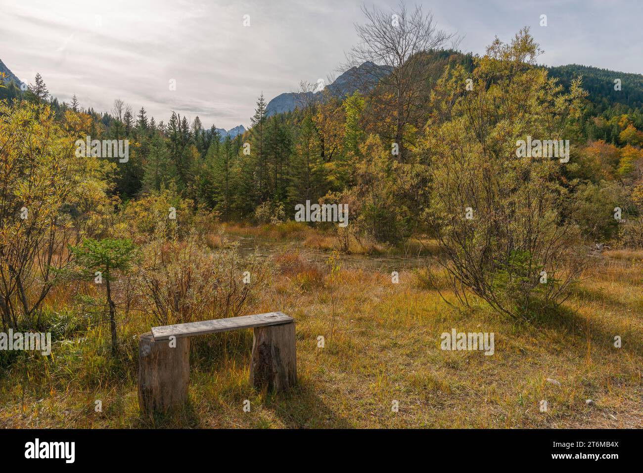 Rissbachtal, Naturschutzgebiet Karwendel, Alpen, Tirol, Österreich, Europa, Stockfoto