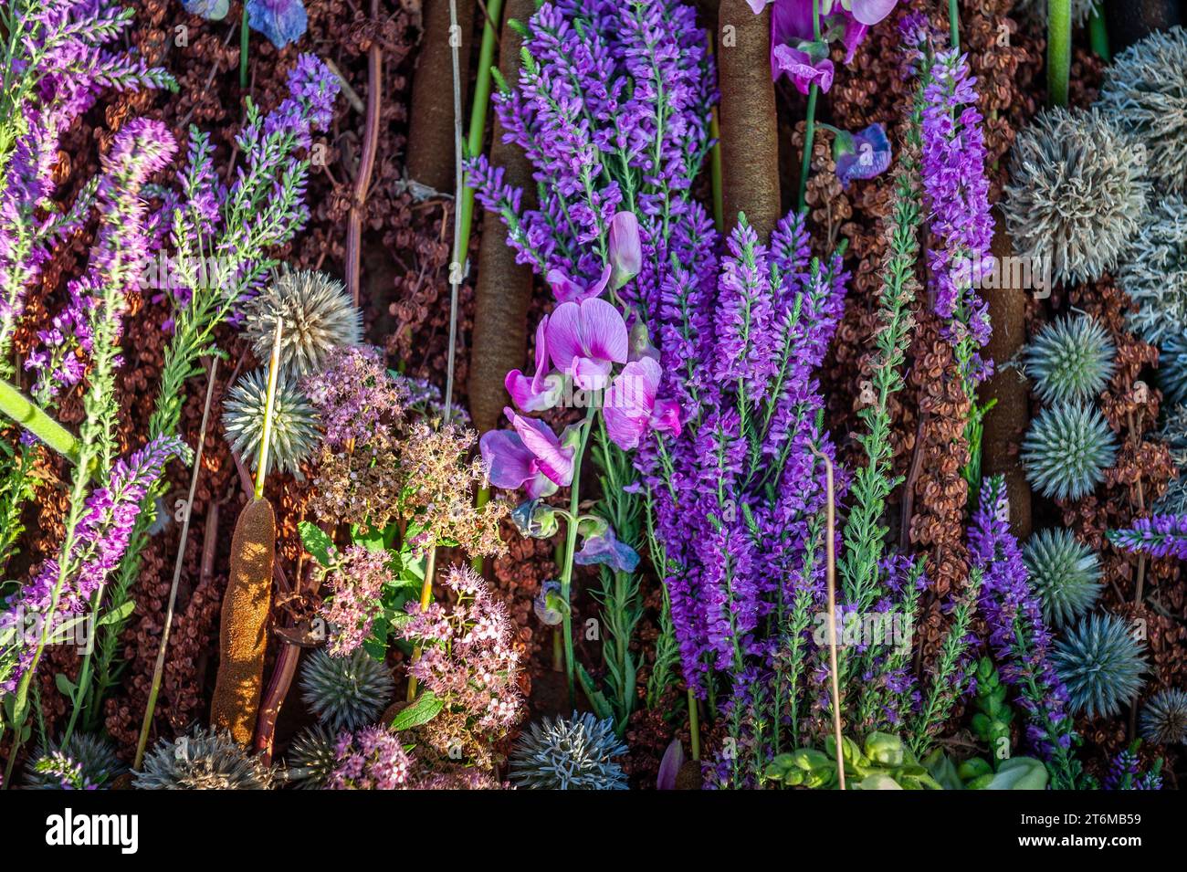 Gemischte bunte Blumen Hintergrund. Blumendekoration in braun-violetten Tönen. Blick von oben. Stockfoto