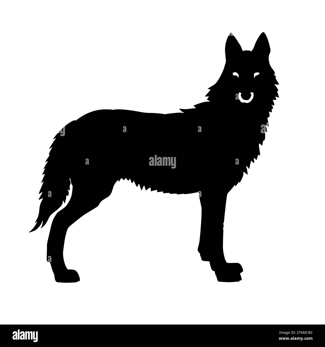 Schwarz-weiß-Illustration eines Wolfes mit dickem Pelzfell und scharfen Zähnen. Der Wolf repräsentiert das Rudel, starke Familienbande und Kooperation Stockfoto