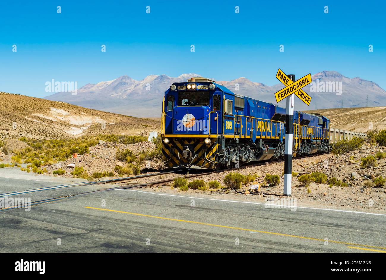 Atemberaubender blauer Zug überquert eine Straße in der wunderschönen andenlandschaft des Nationalparks Salinas Y Aguada Blanca, Region Arequipa, Peru Stockfoto