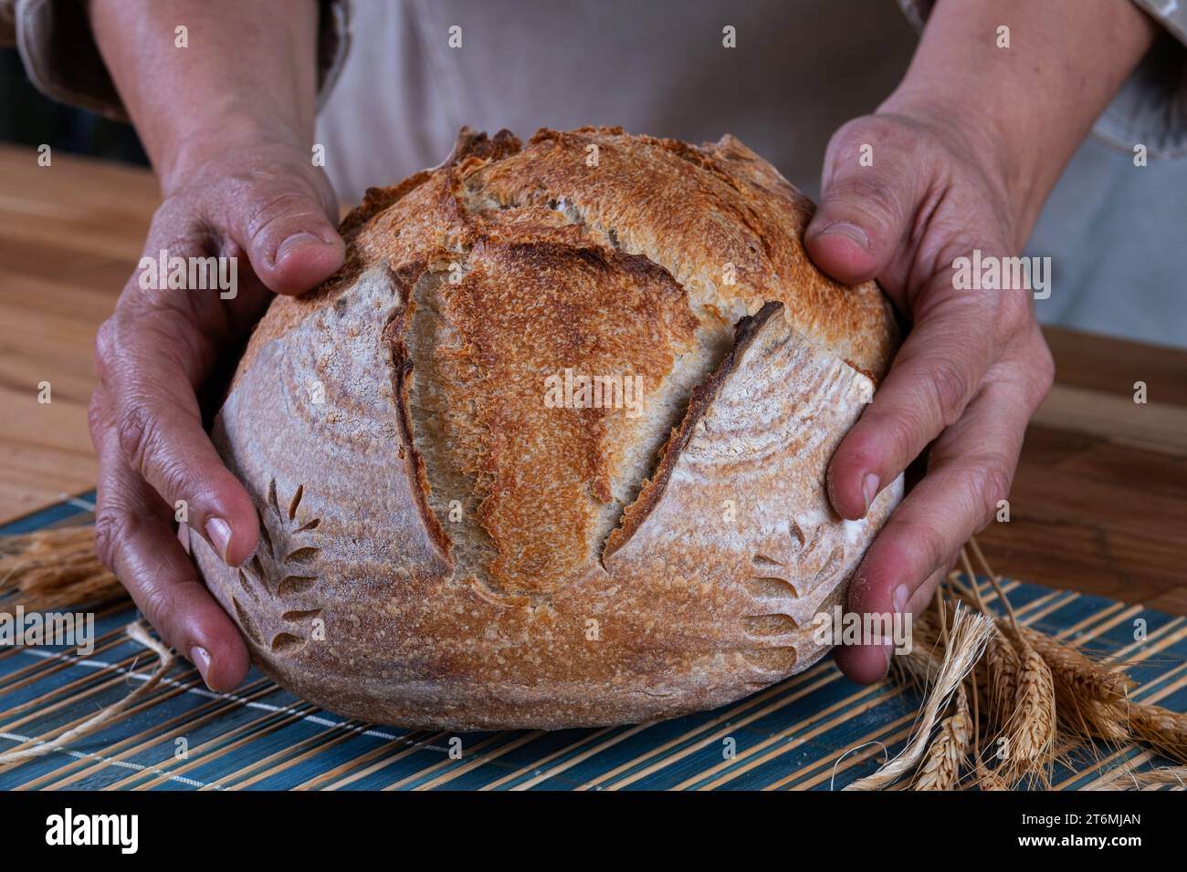 Weibliche Hände, die natürliches fermentiertes Brot halten. Stockfoto