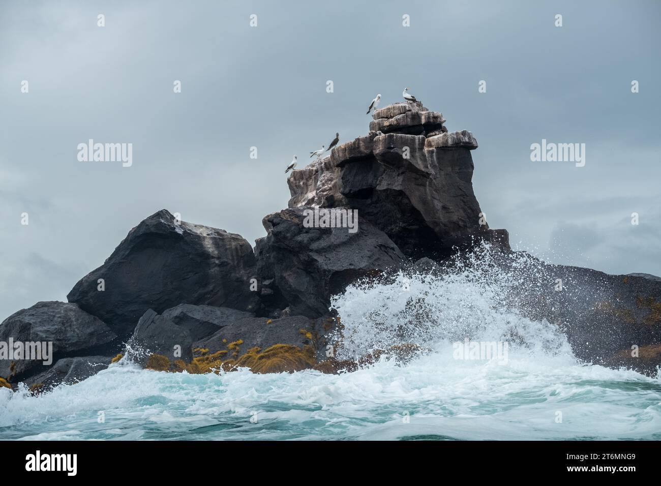 Wellen stürzen auf die Felsen einer winzigen Insel, auf der Vögel sitzen Stockfoto