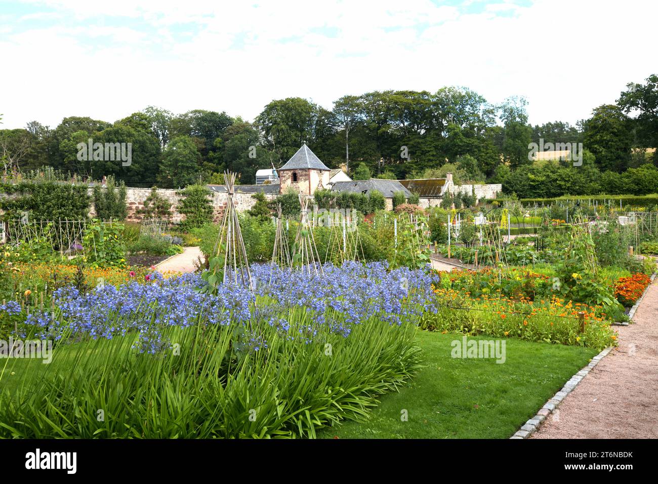Fyvie Castle, Fyvie, Aberdeenshire, Schottland. Blick auf den ummauerten Garten der schottischen Früchte, im August. Stockfoto