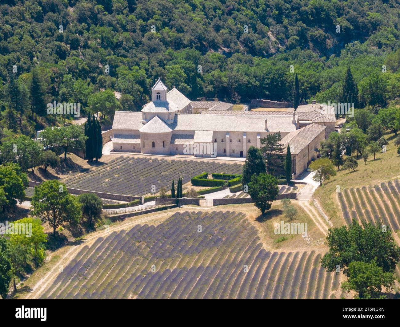 Luftaufnahme der Zisterzienserabtei Senanque mit Lavendelfeld, in Gordes, Vaucluse, Provence, Provence-Alpes-Cote d'Azur, Frankreich Stockfoto