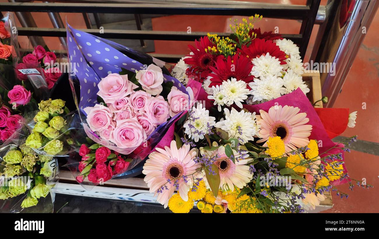 Wunderschöner Blumenstrauß, rote und weiße Chrysanthemen, Pflanzen Stockfoto