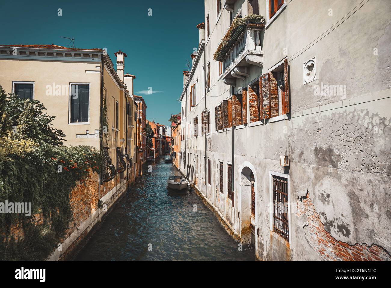 Malerischer Kanal mit Brücke und alten Gebäuden mit Topfpflanzen in Venedig, Italien Stockfoto