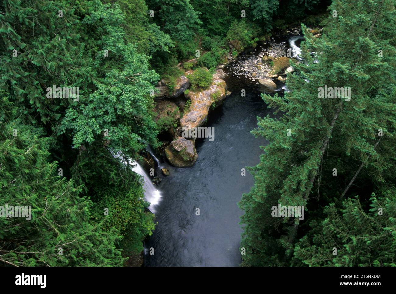 Green River Schlucht, King County, Washington Stockfoto