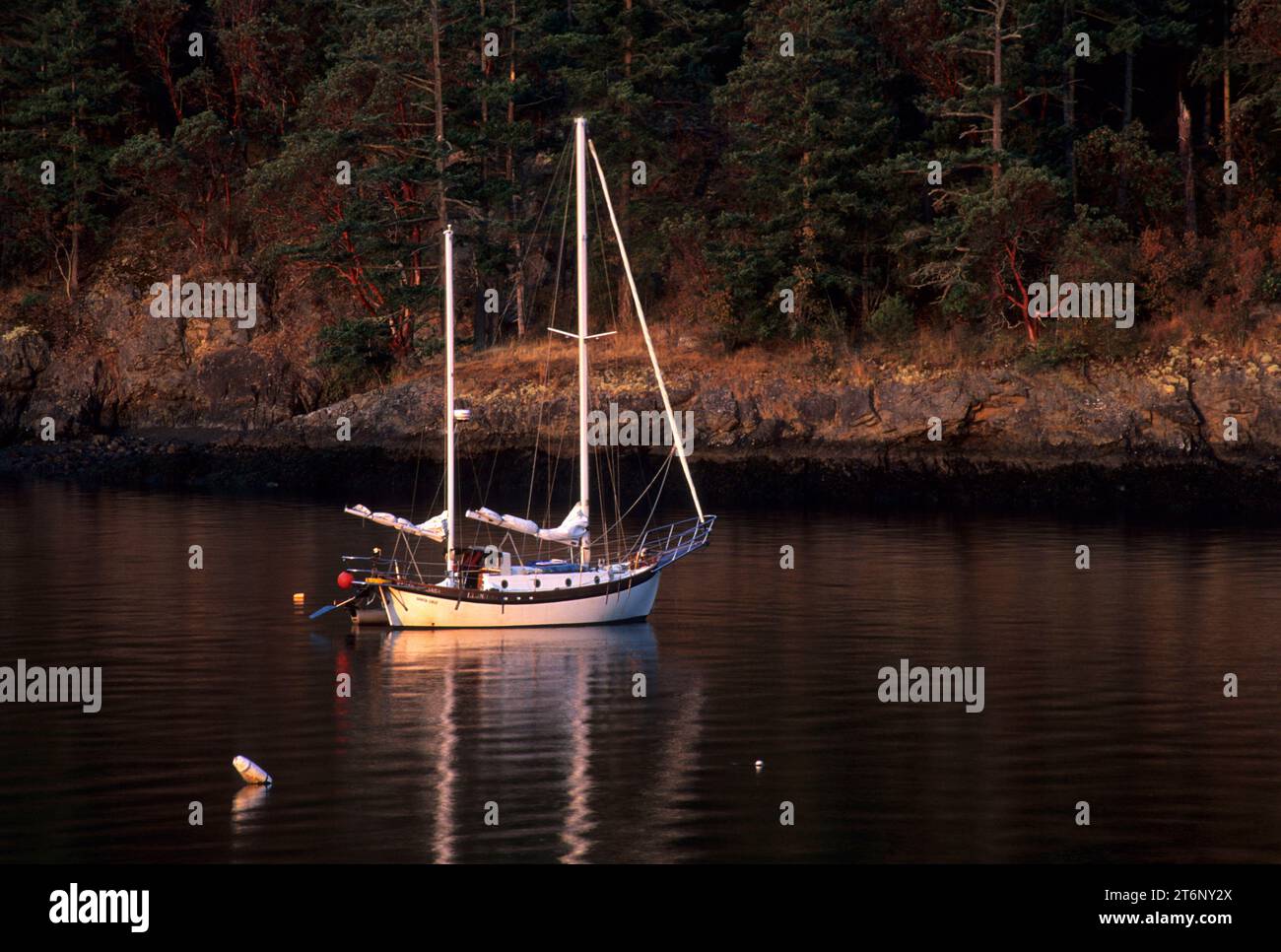 Verankertes Segelboot, Friday Harbor, Washington Stockfoto