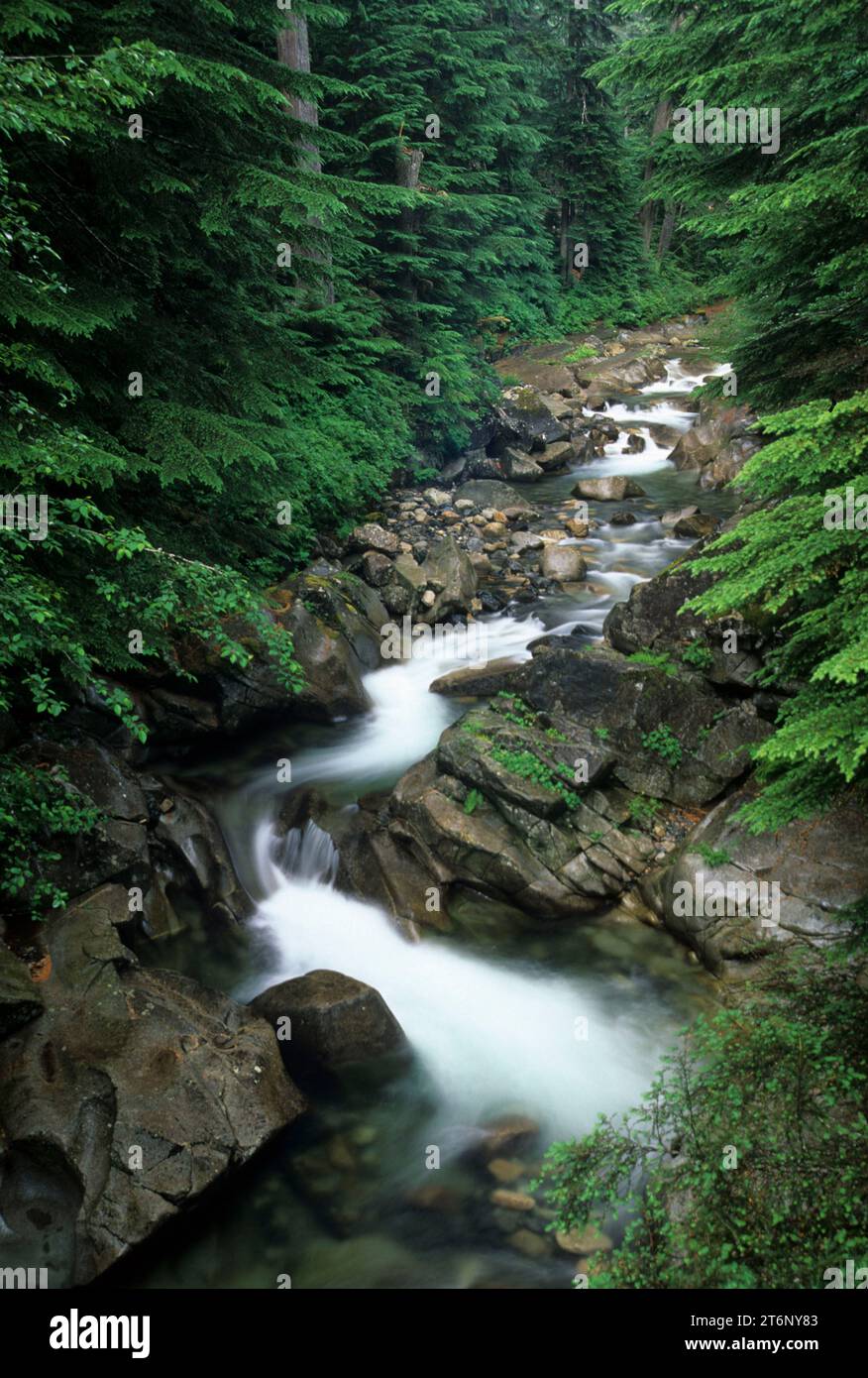 South Fork Snoqualmie Fluss, Mt Baker-Snoqualmie National Forest, Washington Stockfoto