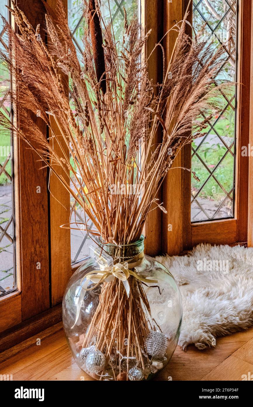 Trockene Gräser in einer Glasvase in einem sonnigen französischen Fenster. Innenarchitektur. Warme Atmosphäre. Wohnlich. Heimarbeit. Künstlerisch Stockfoto