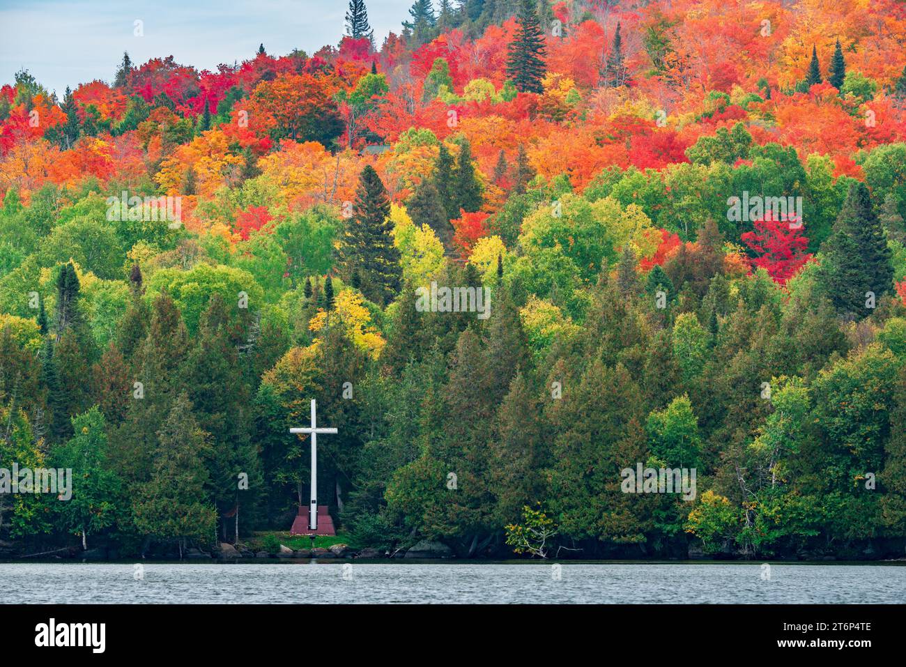Herbstlaub in den Wäldern oberhalb des Nordufers des Lake Superior, Minnesota, USA. Stockfoto