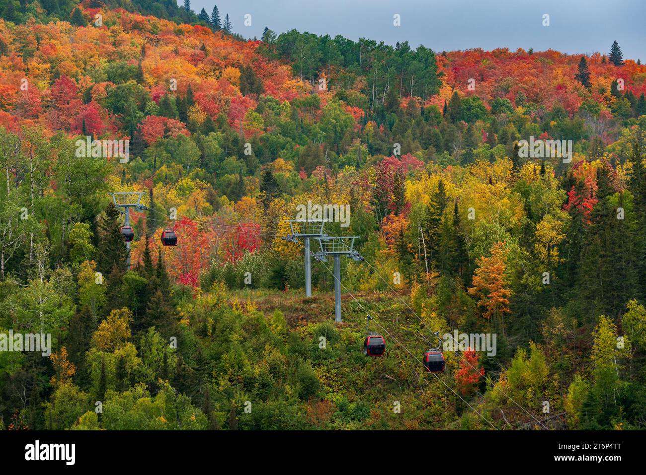 Die Gondel hebt den Moose Mountain mit herbstlicher Laubfarbe im Lutsen Resort, Minnesota, USA. Stockfoto