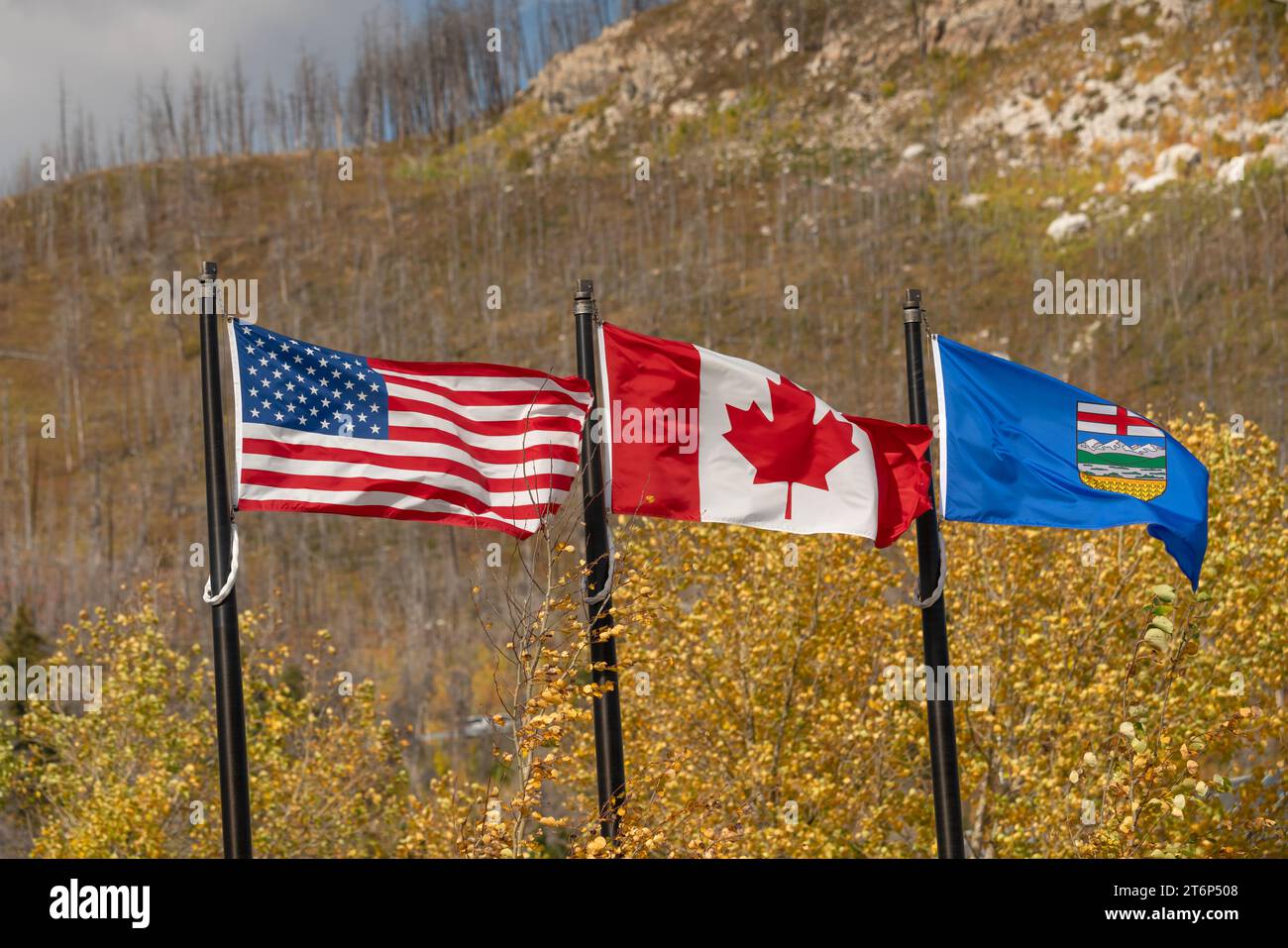 Die amerikanische, kanadische und Albertanische Flagge im Waterton Lakes National Park, Alberta, Kanada. Stockfoto