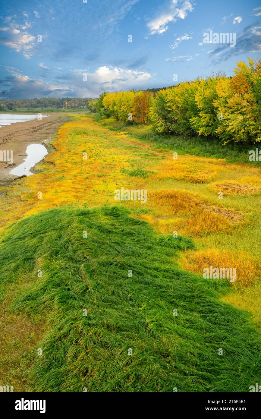 Herbstfarbe im Norden von Minnesota in der Nähe von International Falls, USA. Stockfoto