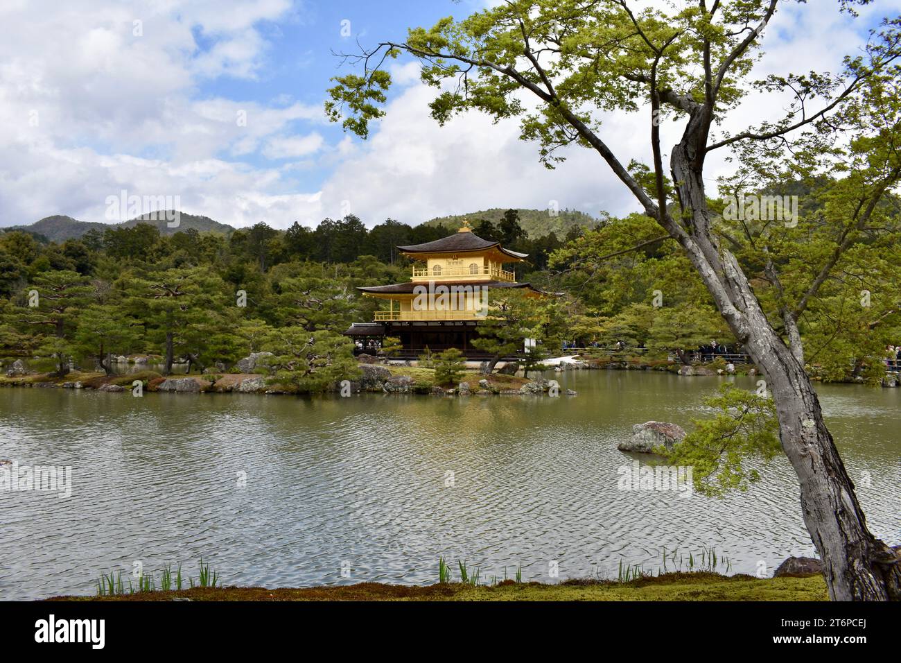 Kinkaku-JI - buddhistischer Tempel in Kyoto, Japan Stockfoto