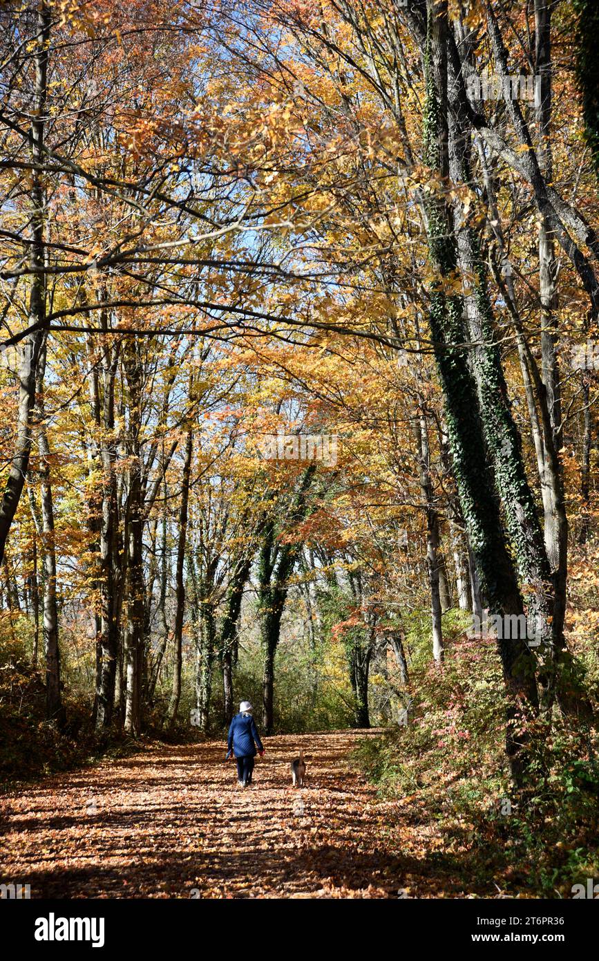 Eine Frau spaziert entlang eines Naturpfads in Abingdon, Virginia. Stockfoto