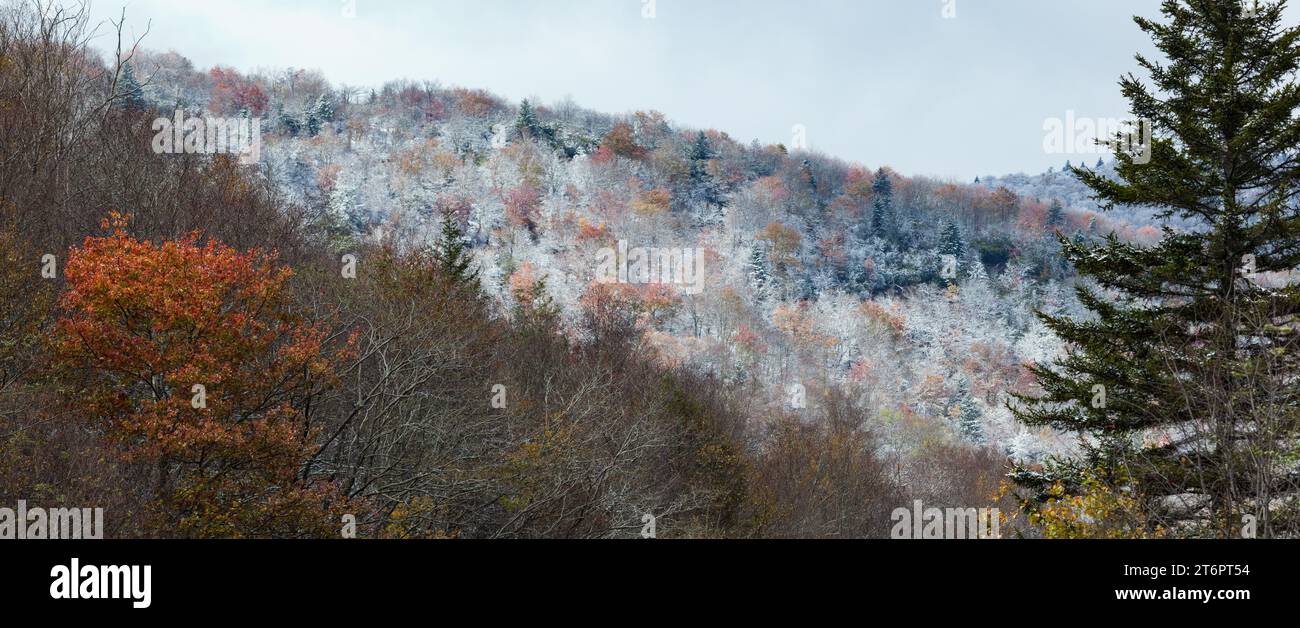 Frostige Herbstszene im Pisgah National Forest in der Nähe des Blue Ridge Parkway in North Carolina Stockfoto