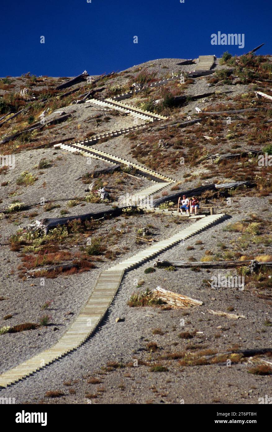 Windy Ridge Trail, Mt St Helens National Volcanic Monument, Washington Stockfoto