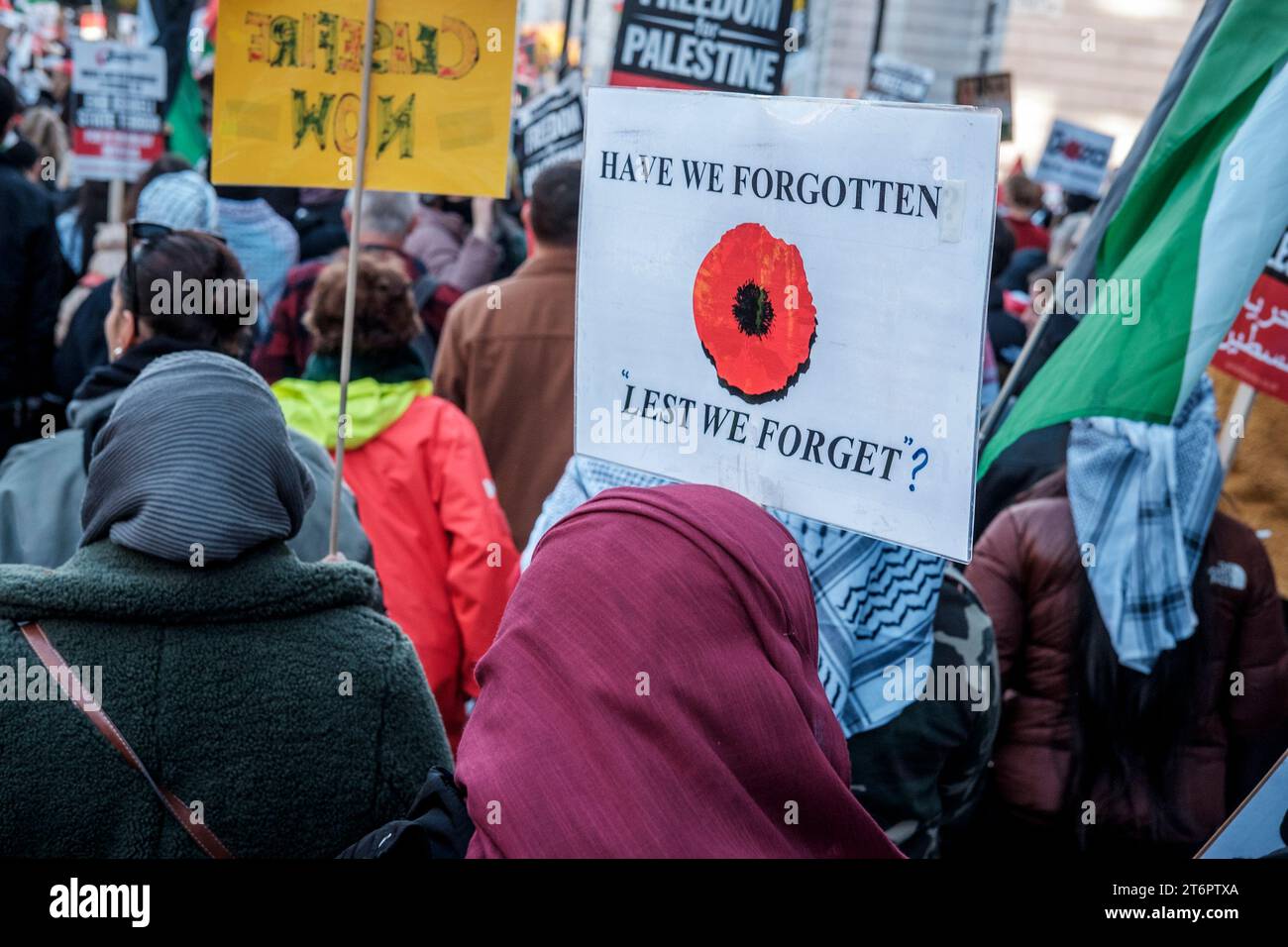11. November 2023, London, Großbritannien. Hunderttausende von Menschen marschieren durch das Zentrum Londons, um gegen die anhaltende Bombardierung des Gazastreifens durch Israel zu protestieren. Die Organisatoren der Demonstration, der palästinensischen Solidaritätskampagne, fordern einen sofortigen Waffenstillstand. Im Bild: Ein Plakat mit einem Mohnbild, das die Worte Lest We Forget hinterfragt, wird entlang der Route getragen. Stockfoto