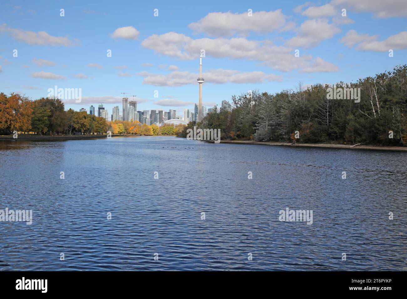 Skyline Von Toronto Im Herbst Stockfoto