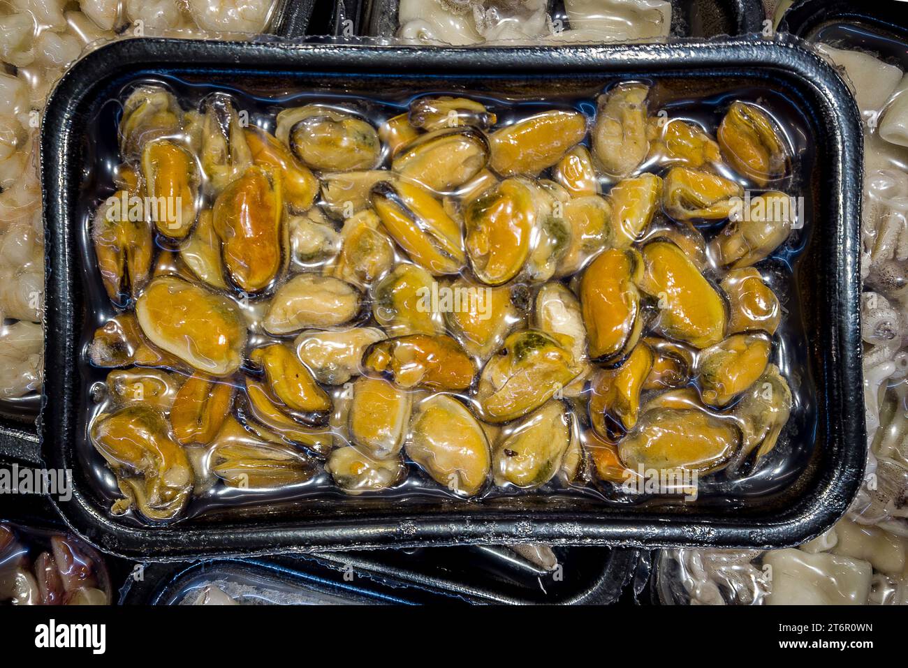 Muscheln mit Muscheln in Vakuumschalen, die für das Sous-Vide-Kochen versiegelt sind, zum Verkauf in Kühltheken in Supermärkten Stockfoto