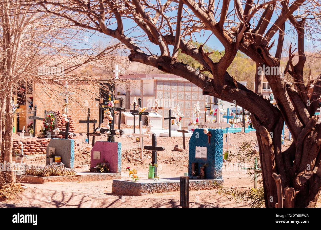 Bäume säumen Grabsteine auf dem Friedhof in San Pedro de Atacama, Chile. Stockfoto