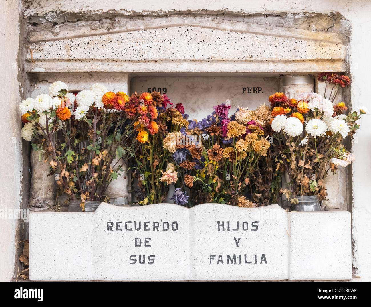 Ein gemauertes Steingrab auf dem Hauptfriedhof von Santiago, mit Blumen in Gläsern davor. Der Text lautet: "Erinnert sich an seine Kinder und Familie". Stockfoto