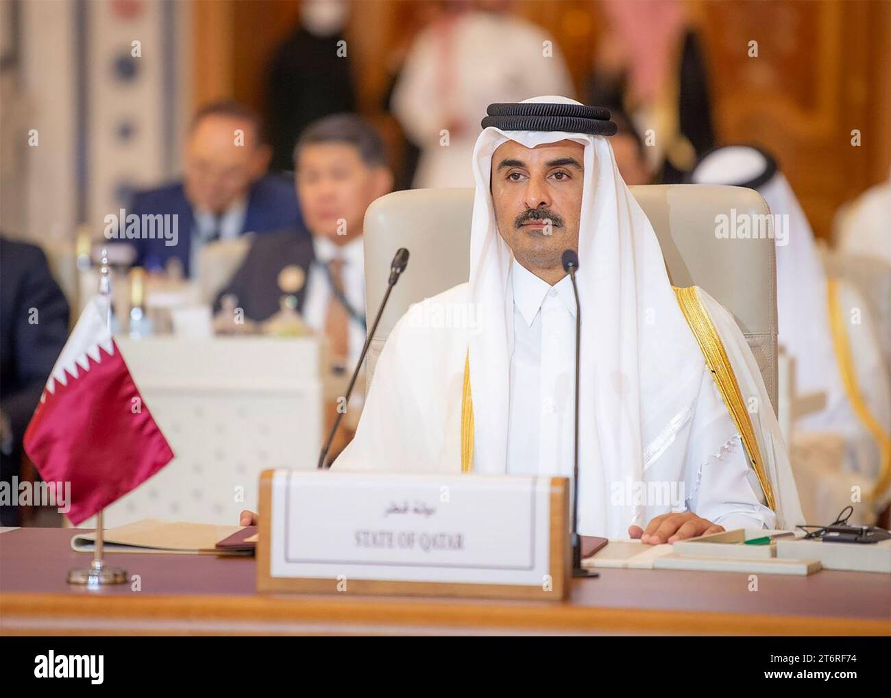Katars Emir Scheich Tamim bin Hamad alThani wird während einer