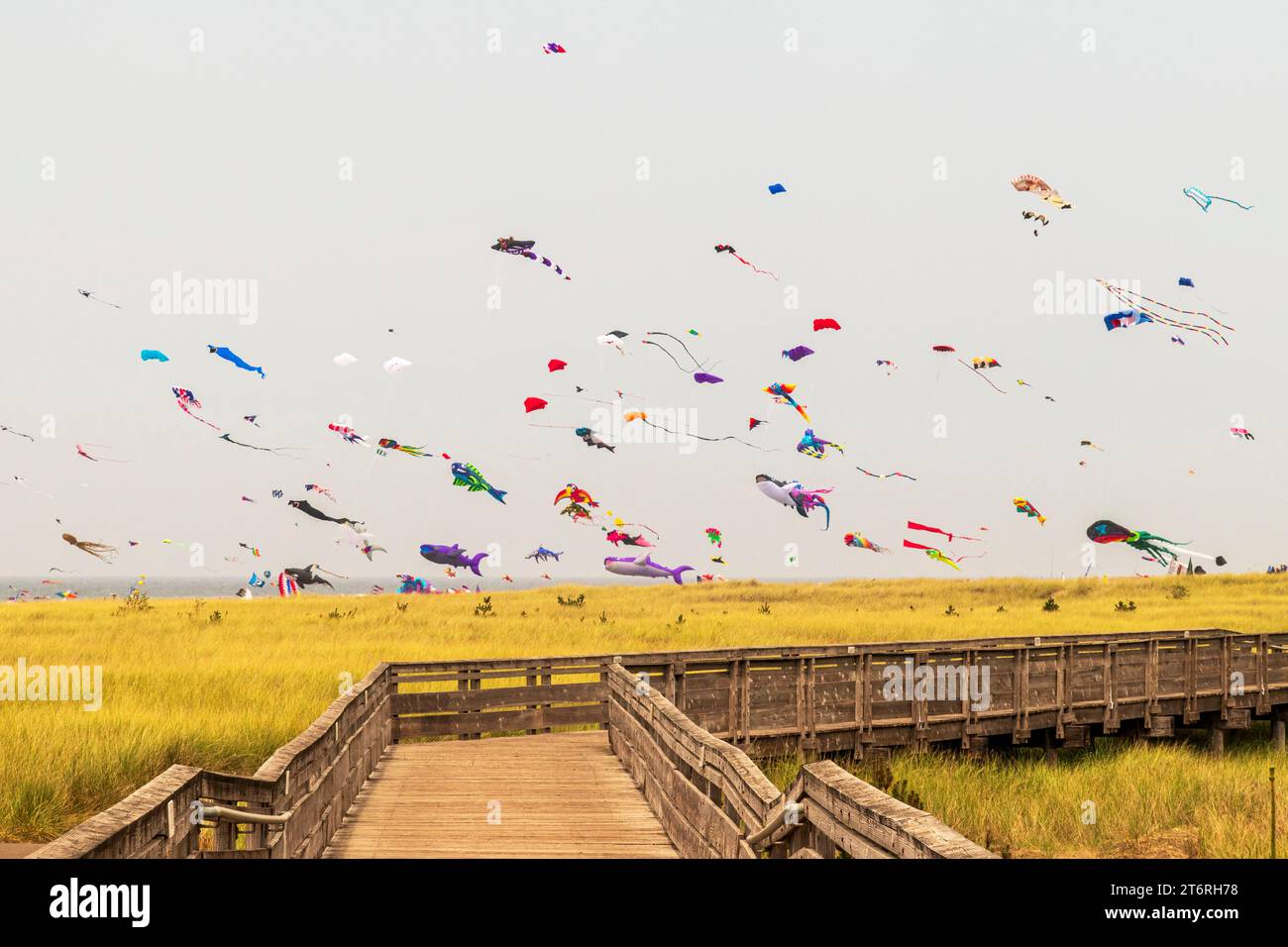 Beim Long Beach International Kite Festival im Bundesstaat Washington fliegen unzählige bunte Drachen in verschiedenen Formen über dem Seegras Stockfoto