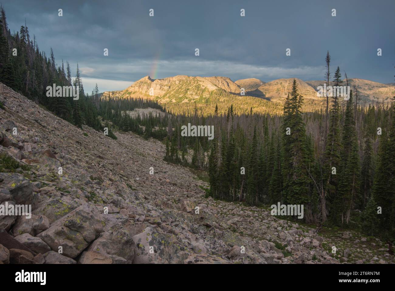 Malerische Landschaft mit Cuberant Lake Area, Mirror Lake Highway, Uinta Mountains, Camas, Utah, USA Stockfoto