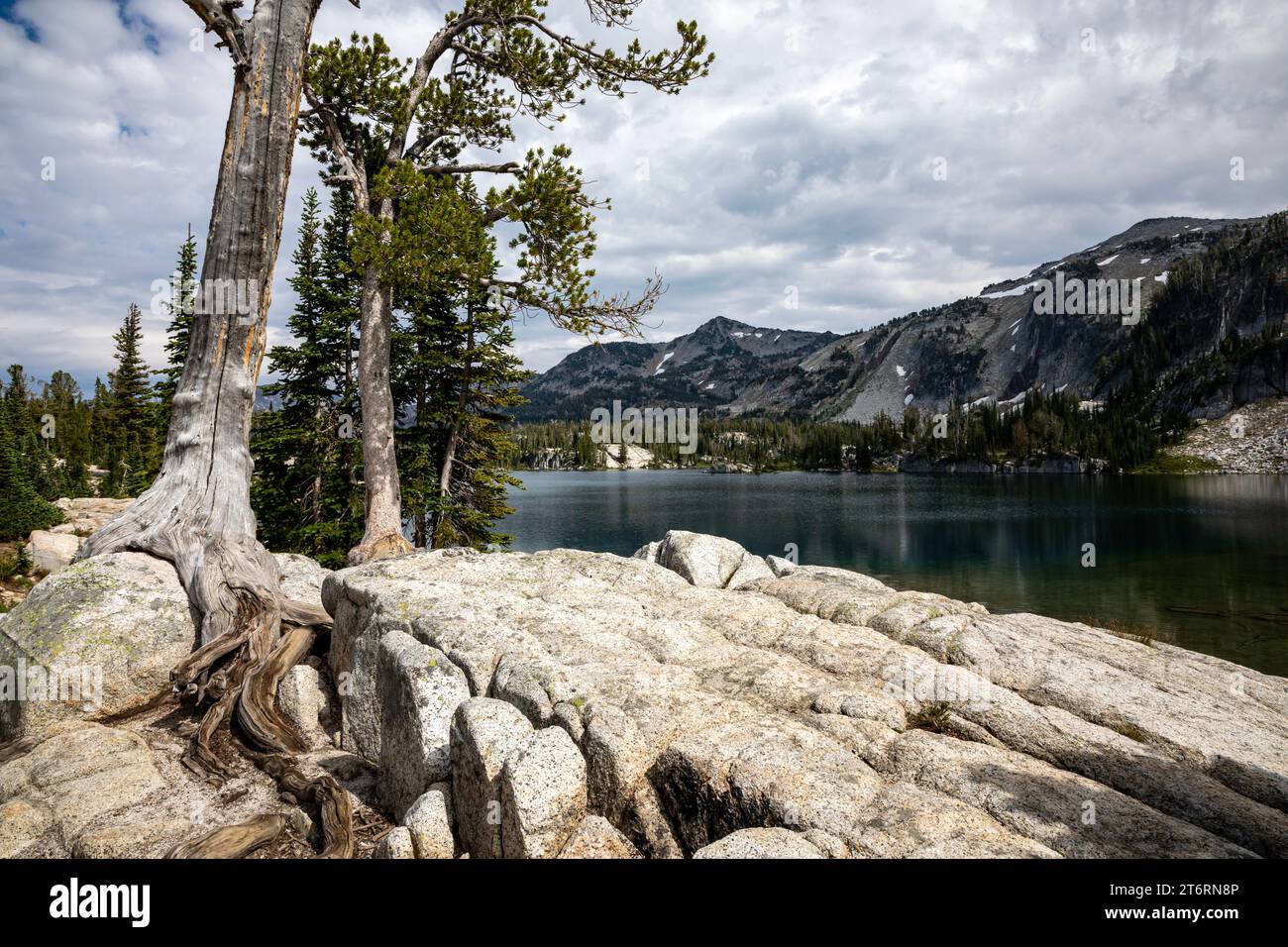 OR02707-00...OREGON - Bäume, die dort auf Granitfelsen am Mirrow Lake in der Eagle Cap Wilderness beheimatet sind. Stockfoto